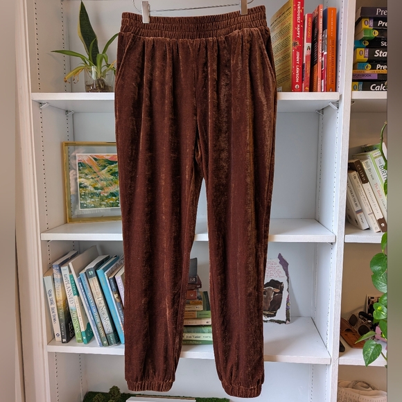 7 For All Mankind Women's Velvet Pants Jogger Style Chocolate Brown Size Small - Picture 7 of 8